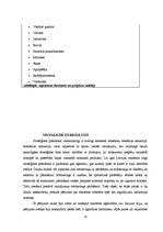 Referāts 'Pilnvērtīgas reklāmas kampaņu stratēģiskās plānošanas rīku sistēmas izveide', 31.