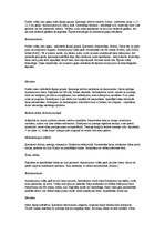 Referāts 'Truškopība', 11.