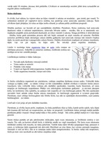 Konspekts 'Asinsrites traucējumi', 2.