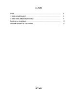 Referāts 'Ideāls', 1.