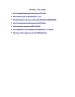 Referāts 'Uztura bagātinātāja L-karnitīna lietošanas ietekme uz karnitīna daudzumu asinīs,', 6.