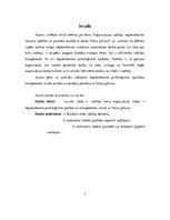 Referāts 'Organizācijas vadītājs, nepieciešamās rakstura īpašības un prasmes saistībā ar d', 3.