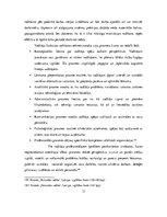 Referāts 'Organizācijas vadītājs, nepieciešamās rakstura īpašības un prasmes saistībā ar d', 11.