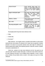 Eseja 'Merčendaizings, kā pircēju piesaistes paņēmiens', 9.