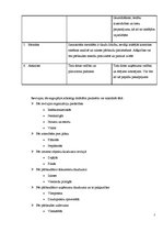 Referāts 'Revīzijas būtība, veidi un to raksturojums', 2.