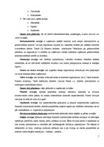 Referāts 'Revīzijas būtība, veidi un to raksturojums', 3.