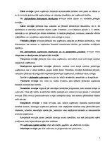 Referāts 'Revīzijas būtība, veidi un to raksturojums', 4.