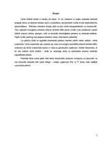 Referāts 'Uzņēmuma darba vides iekšējās uzraudzības kārtība', 3.