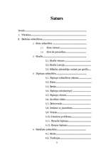 Referāts 'Izplatītākās mūsdienu jauniešu subkultūras', 2.