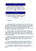 Referāts 'Izplatītākās mūsdienu jauniešu subkultūras', 24.