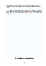 Referāts 'Izplatītākās mūsdienu jauniešu subkultūras', 27.