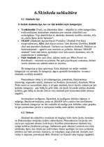 Referāts 'Izplatītākās mūsdienu jauniešu subkultūras', 41.