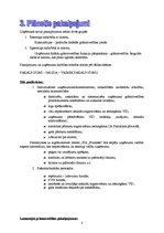 Biznesa plāns 'SIA "Finanses"', 5.