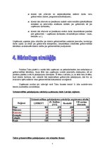 Biznesa plāns 'SIA "Finanses"', 6.