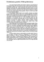 Prakses atskaite 'The Y Chromosome of Drosophila Melanogaster and Aging', 2.