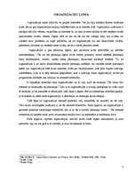 Referāts 'Formālās organizācijas', 4.