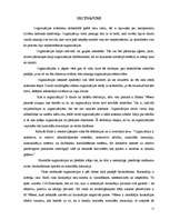 Referāts 'Formālās organizācijas', 15.