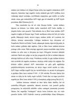 Referāts 'Biržas darbības attīstība', 20.