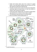Referāts 'HIV un AIDS - viens un tas pats vai nē?', 12.