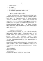 Konspekts 'Mazo lauku lielas problēmas (no pašvaldību pieredzes)', 11.