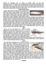 Konspekts 'Zivis', 5.