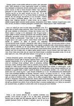 Konspekts 'Zivis', 6.