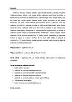 Referāts 'SIA "X" finanšu analīze', 2.