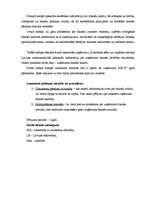 Referāts 'SIA "X" finanšu analīze', 3.