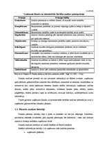 Referāts 'SIA "X" finanšu analīze', 6.