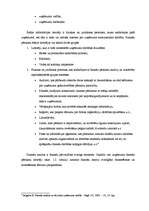 Referāts 'SIA "X" finanšu analīze', 7.