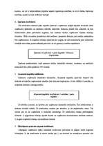 Referāts 'SIA "X" finanšu analīze', 19.