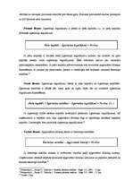 Referāts 'SIA "X" finanšu analīze', 26.