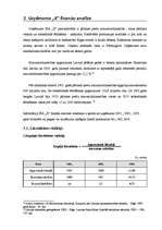 Referāts 'SIA "X" finanšu analīze', 28.