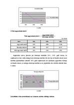 Referāts 'SIA "X" finanšu analīze', 31.