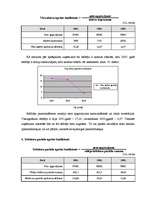 Referāts 'SIA "X" finanšu analīze', 38.