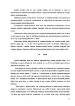 Konspekts 'Tēmas "Līnijas" apguve matemātikā 5.klasē', 17.