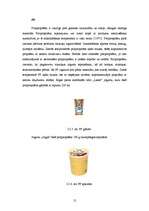 Referāts 'Jogurta iepakošana', 10.