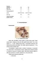 Referāts 'Jogurta iepakošana', 19.