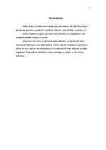 Eseja 'Automašīnu rašanās un attīstības vēsture', 5.