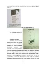 Referāts 'Mūra starpsienas', 8.
