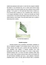 Referāts 'Mūra starpsienas', 9.