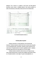 Referāts 'Mūra starpsienas', 10.