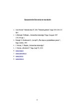 Referāts 'Mūra starpsienas', 13.