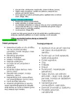 Konspekts 'Bērnu uzvedības traucējumi un pozitīvā disciplinēšana', 8.