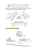 Konspekts 'Bērnu uzvedības traucējumi un pozitīvā disciplinēšana', 13.