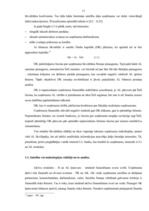 Referāts 'Uzņēmuma finansiālā stāvokļa analīze', 22.