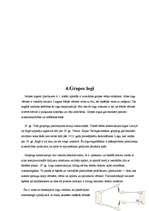 Referāts 'Logu veidi un konstrukcijas', 16.