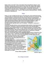 Referāts 'Eiropa', 4.