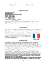 Referāts 'Eiropa', 12.