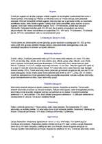 Referāts 'Eiropa', 28.